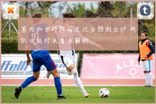 塞内加尔对阵荷兰比分预测出炉 两队攻防对决看点解析