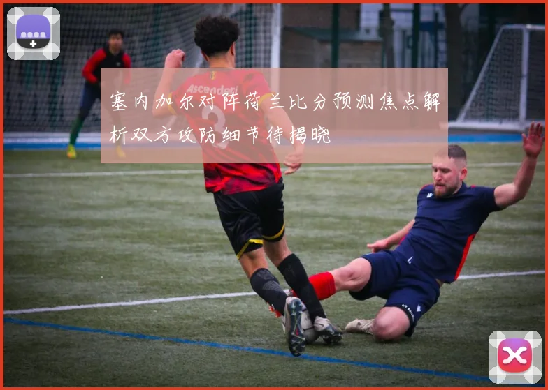 塞内加尔对阵荷兰比分预测焦点解析双方攻防细节待揭晓