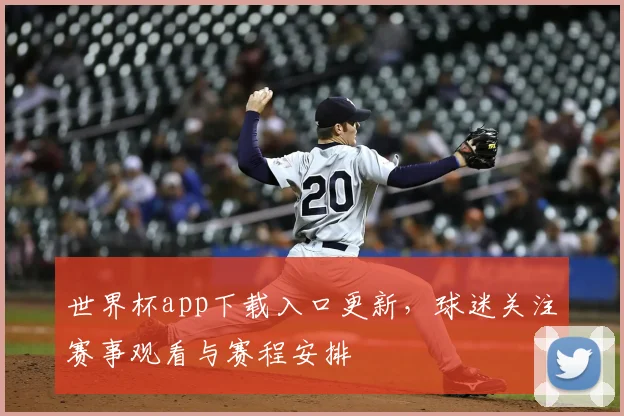 世界杯app下载入口更新,球迷关注赛事观看与赛程安排