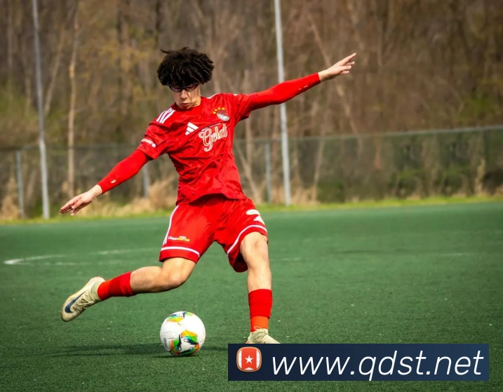 星空官方网站平台生态图